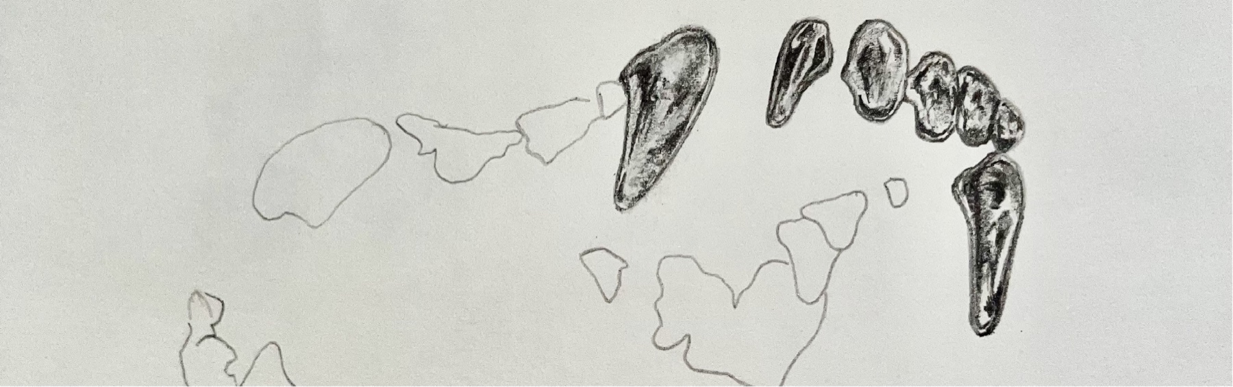 Dibujo